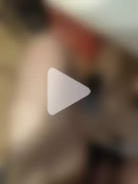 LeoSubLifestyle4You photo 5