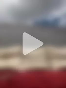 Leonardmoppet photo 30