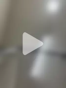 Leonardmoppet photo 24