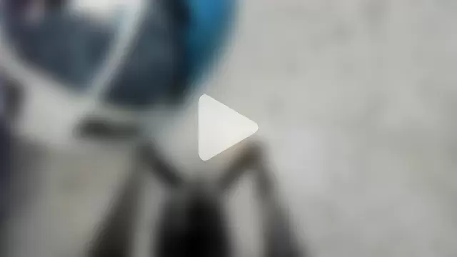 Leoo_Miller photo 22