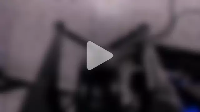 Leoo_Miller photo 20