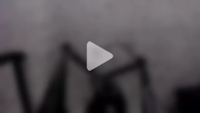 Leoo_Miller photo 19