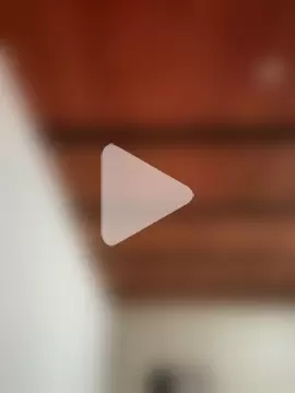 LiaCollings photo 29