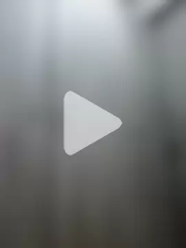 Liarmosca21 photo 29