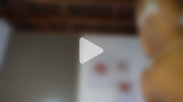 LillyDolls23 photo 24