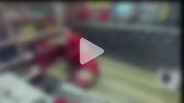 Lily4yourfun photo 18