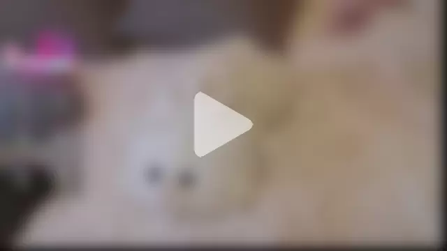 LisaHoneyLisa photo 3