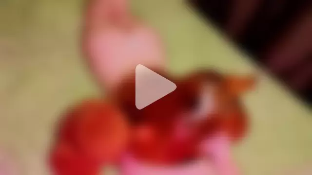 LittleFoxHole photo 5