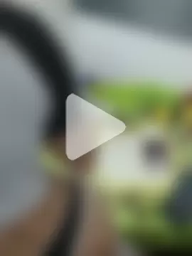 LittleTymmy photo 1