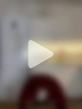 Little_Forest_ELF photo 10