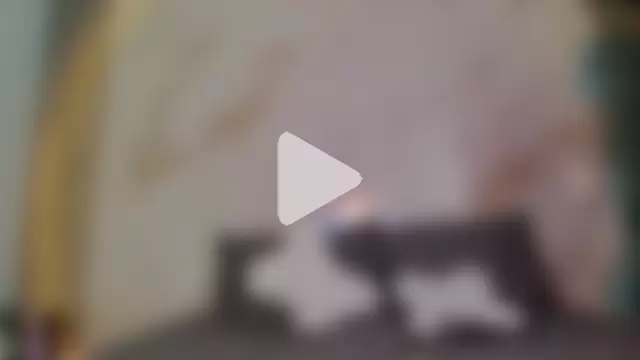 Little_Lau1 photo 14