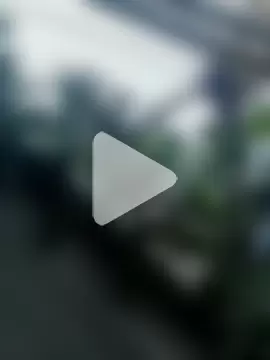 Little_Pau_Dirty photo 5