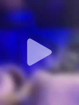 LiveeNunkutt photo 2