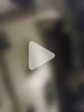 LoboSolitariooy photo 9