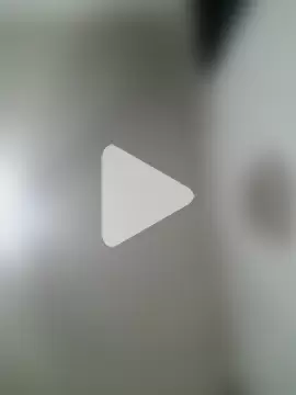 LongDickZee562 photo 18