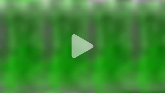 Longdongsilver_323 photo 2