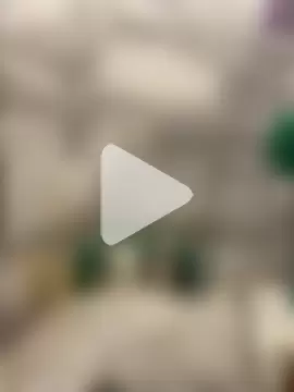 Looneytunes12345 photo 4