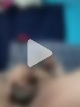 Loquillopajero photo 3