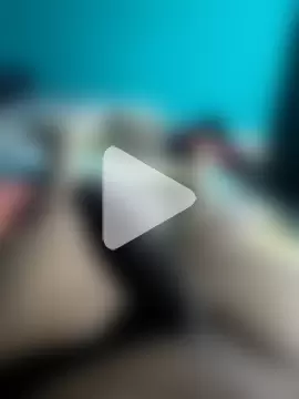 Loquillopajero photo 25