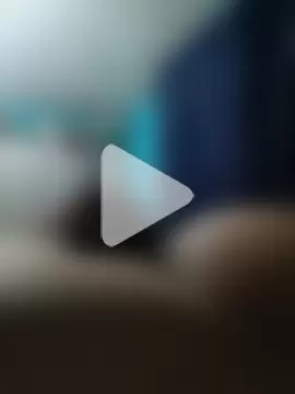 Loquillopajero photo 20