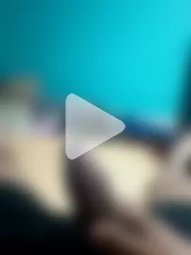 Loquillopajero photo 11