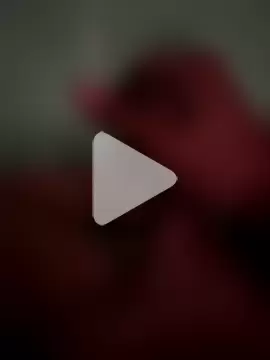 Lorenzo-gtso photo 7