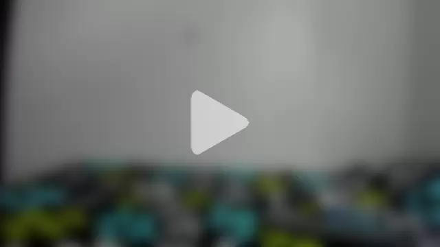 Lotto_bloom photo 26