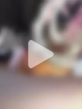 Louna-arabic photo 5