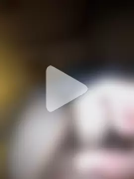Lovelabite2 photo 17
