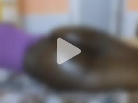 Lovely-edday2 photo 30