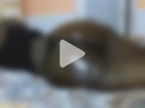 Lovely-edday2 photo 26