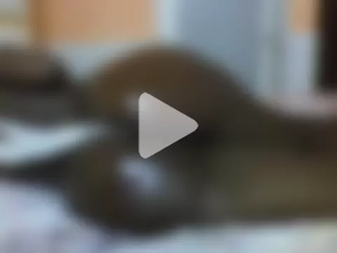 Lovely-edday2 photo 22