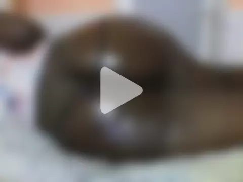 Lovely-edday2 photo 13