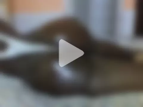 Lovely-edday2 photo 3