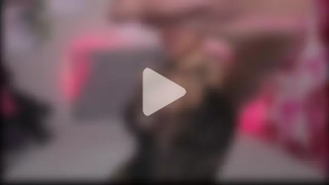 LuckySwagson photo 18