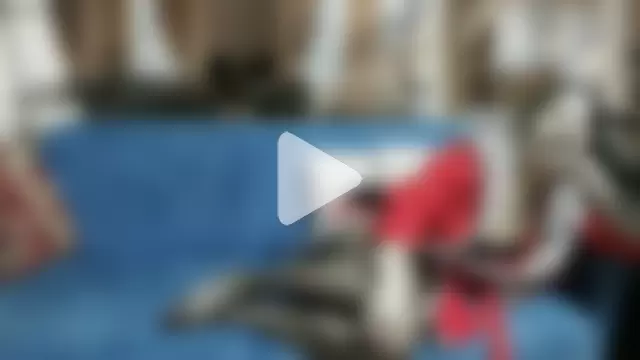 Lucy_and_Marco photo 5