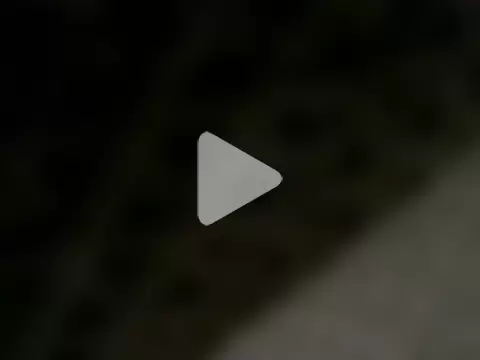 LuispingonX69 photo 1