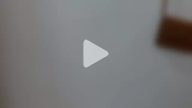 Lulu_and_smith photo 24