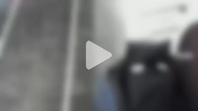 LunaBaker-1 photo 15