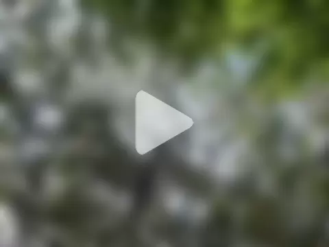 Lunaira_Deep photo 3