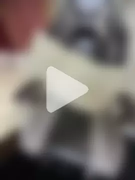 LuscousPussy photo 12