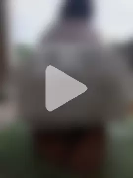 Lyna_sexy24 photo 16