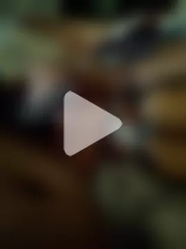 MALLUSING555 photo 1