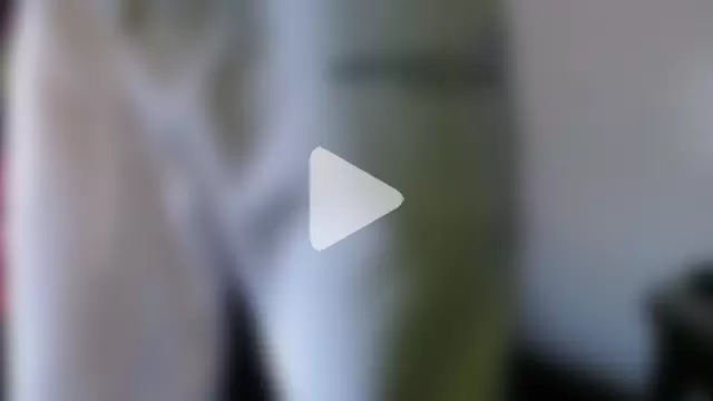 MASTERBULLY photo 15