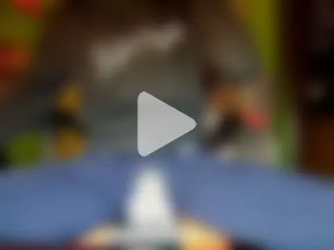 MASTERBULLY photo 14