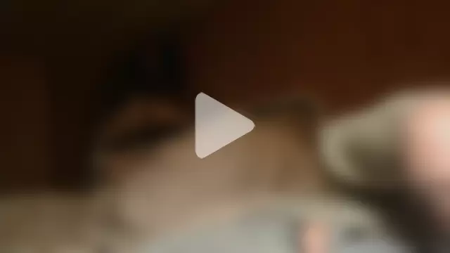 Mac_ThunderCock photo 29