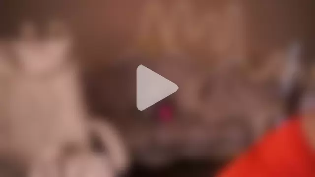 MadissonSoft photo 1