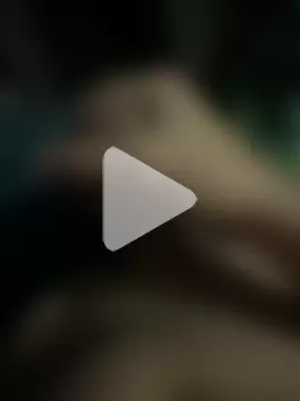 Maertens2810 photo 15