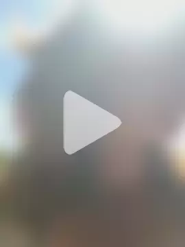 Magical_Misha photo 3