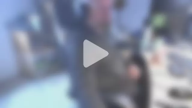 MagnusCockus photo 1